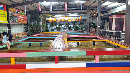 湯圍溝黑肉姐溫泉魚-芝加哥商務汽車旅館